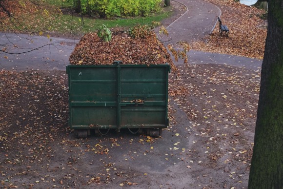 Dumpster Bin Full of Dry Fall Leaves