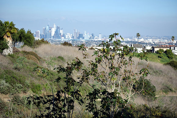 Protect your property from wildfires