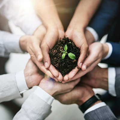 Team members' hands holding a small plant in soil